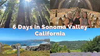 California Travel Vlog | Wine Tour, Nature & Relaxed City Vibes