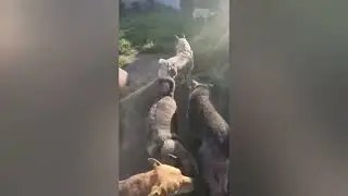 Каждый день как на пороховой бочке...