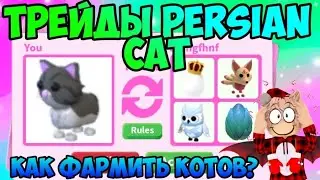 ТРЕЙДЫ НА PERSIAN CAT НОВОЕ ОБНОВЛЕНИЕ В АДОПТ МИ НОВЫЕ ПИТОМЦЫ КАК ФАРМИТЬ КОТОВ? БАГ ADOPT ME