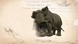 Platybelodon Rushing To The Library