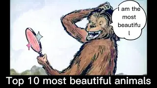 Top 10 Most Beautiful Animals