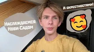 По окрестностям Нови-Сада: гора Фрушка и Сремски-Карловци