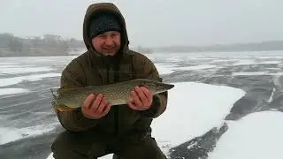 Зимняя рыбалка 19.12.2021. Рыбалка в черте города, набережная. Жерлицы и щуки.