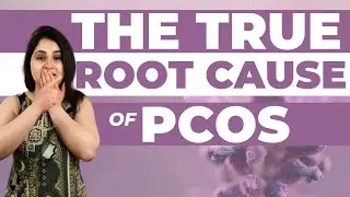 The ROOT CAUSE OF PCOS | Here's the truth about PCOS
