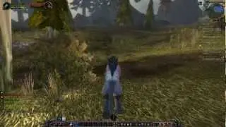 Давайте поиграем в World of Warcraft Серия 7 14-15 LVL