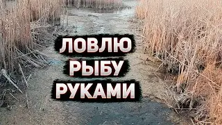 🐟🔝Ловлю Карасей Просто Руками!!!Рыба Кишит Под Лодкой🔝🐟