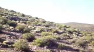 PUNTA CORRAL 2009