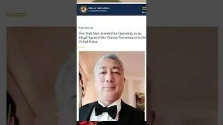 Chinese democracy activist spied for China