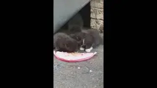 Марусины дети