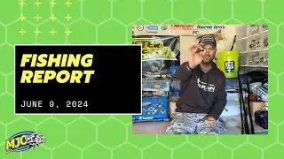 Walleye, Bass, Panfish and More… Spring-to-Summer Transition Fishing Report and Tips