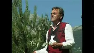 Гайтани - 