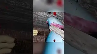 Grandma Bought Me A VR.. 