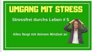 Stressfrei durch's Leben #5 ►► Alles fängt mit deinem Mindset an