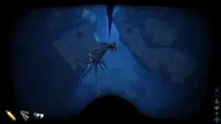 Squid tame! Part 1/3