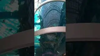 Тц. Авиапарк в Москве🐟🐠🐡