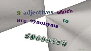 snobbish - 9 adjectives meaning snobbish (sentence examples)