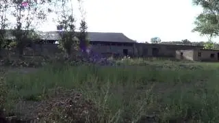 В бывшем военном городке разрушаются здания