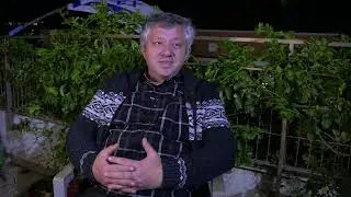 Чему учит нас Пурим о пацифизме?!