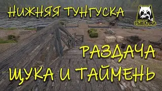 Русская рыбалка 4. рр4. Нижняя тунгуска. Раздача щуки и тайменя.