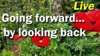 Going forward by looking back - LIVE