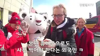 [강원일보] 2018평창동계올림픽 마스코트 수호랑 인기 체험 영상