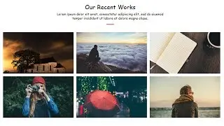 Animated Portfolio Gallery on Hover  Only Using HTML  CSS & Bootstrap