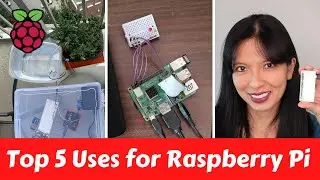 Top 5 Uses for Raspberry Pi