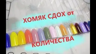 Выкраска Royal! Стоит ли гнаться за распродажами??? Конечно!!!Смотрим!!!