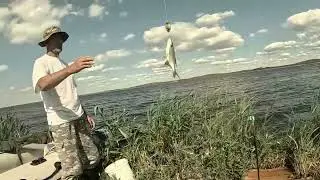 Рыбалка .Сработало.