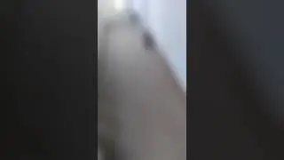 Взрывы в Севастополе. С ДР Буданов 🫶🏻🫶🏻🫶🏻