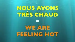 ÊTRE EN ANGLAIS, AVOIR EN FRANCE