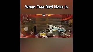 When Free Bird Kicks in