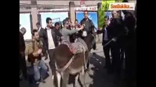 CHP Genel Merkezi Önünde Eşekli Protesto