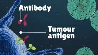 How mRNA cancer vaccines work