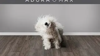 Introducing Mannington Adura® Max LVT WPC Floors