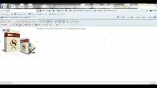 Wordpress Tutorial on How To Wrap Text Around Image