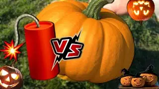 Firecracker 🧨 & 🎃Pumpkin