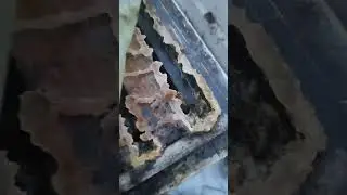 Опять нету матки?