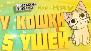 У КОТЕНКА НАШЛИ 5 УШЕЙ, ХОЗЯЙКА В ШОКЕ | Продвинутая Коталогия | Пятиухая кошка
