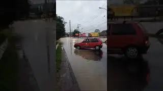 RIO GRANDE DO SUL TEMPORIAS