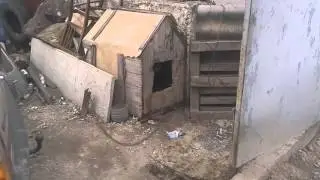 Наш Жора Шпиц
