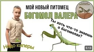 Ты хоть что-то знаешь о богомолах? Недо киперы Роман Романович Рекомендует