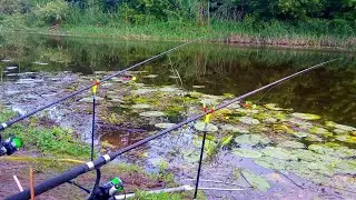 КРУПНИЙ КАРАСЬ І ЛИН ЛОВИМ НА КОРМАЧКИ. Рибалка на карася