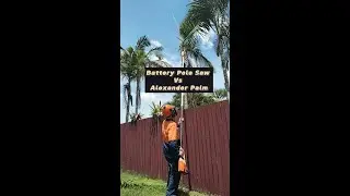 Alexander Palm Vs Battery Pole saw
