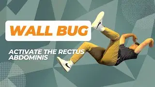 Wall Bug - Activate Your Core and Abdominal Muscles