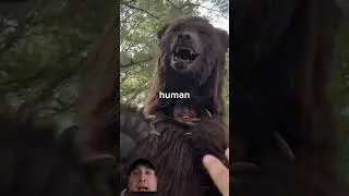 PLOT TWIST #animals #funny #mrbeast #viral #comedy #grow #subscribe #ginoreacts #greenscreen
