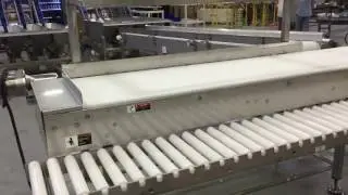 Super Sanitary Conveyor to Hand-Pack System using Multiple Technologies by Multi-Conveyor