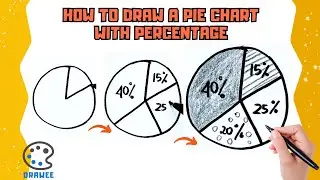 How to draw a Pie Chart with Percentage