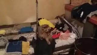 Рыбачка Соня))