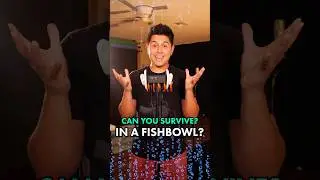 Can You Survive in a Fishbowl? 👀 | #ASMR
